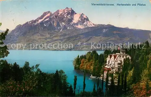 AK / Ansichtskarte Vierwaldstaettersee_Vierwaldstaedtersee_SZ Hertenstein Pilatus Goetz 