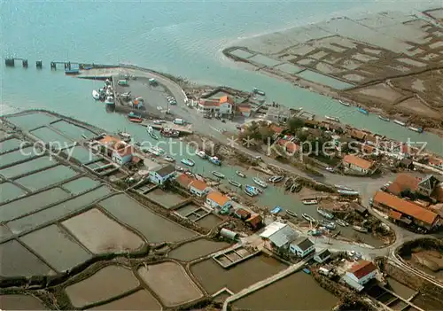 AK / Ansichtskarte Marennes_17_Charente Maritime Le Port de la Cayenne Vue aerienne 