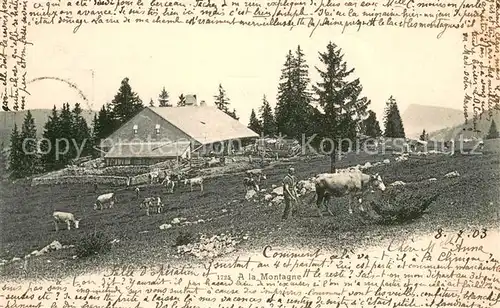 AK / Ansichtskarte  Bauernhof A la Montagne Kuehe in Freien  