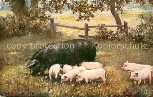 AK / Ansichtskarte  Verlag_Tucks_Oilette_Serie 9483 The Simple Life Schweine 