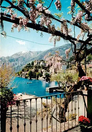 AK / Ansichtskarte Ascona_Lago_Maggiore_TI Collina S Michele 