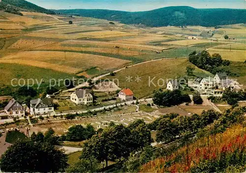 AK / Ansichtskarte  Willingen_Sauerland Panorama Willingen_Sauerland