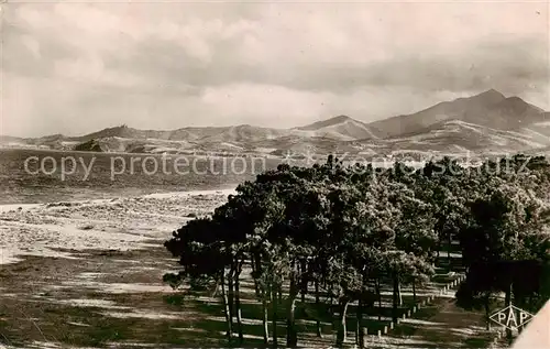 AK / Ansichtskarte Argeles sur Mer_66_Pyrenees Orientales Plage Pins 