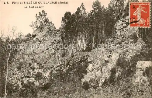 AK / Ansichtskarte Sille le Guillaume_72_Sarthe Foret Le Saut au cerf 