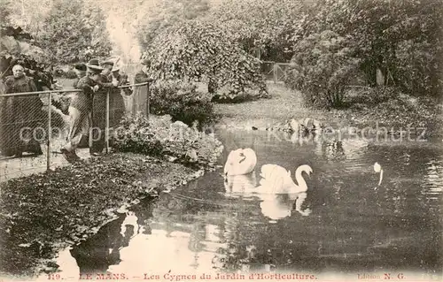 AK / Ansichtskarte Le_Mans_Sarthe Les Cygnes du Jardin d Horticulture Le_Mans_Sarthe