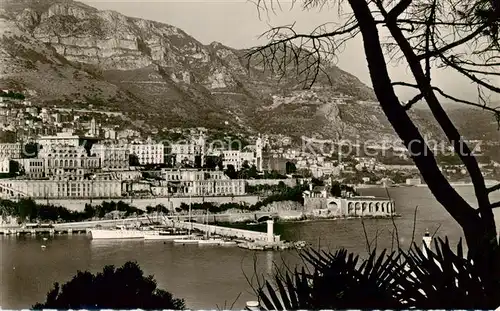 AK / Ansichtskarte  Monte-Carlo_Monaco Entrée du port et le Tir aux Pigeons 