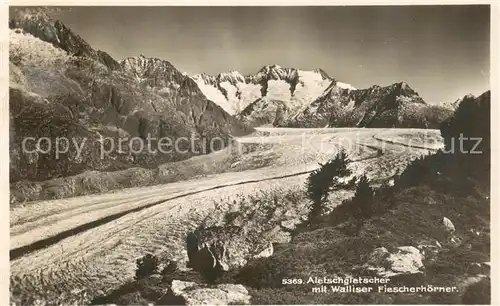 AK / Ansichtskarte Aletschgletscher_VS mit Walliser Fiescherhoerner 