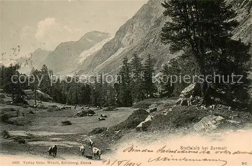 AK / Ansichtskarte Zermatt_VS Staffelalp Panorama Zermatt_VS