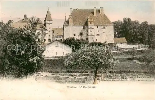 AK / Ansichtskarte  Colombier__NE Chateau de Colombier 