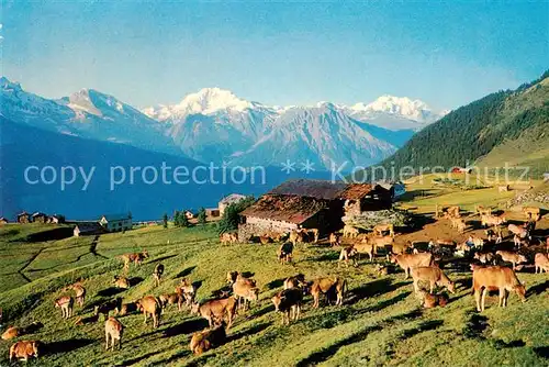 AK / Ansichtskarte  Riederalp_VS mit Fletschhorn und Mischabel 