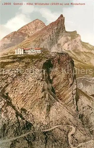 AK / Ansichtskarte  Gemmi_VS Hotel Wildstrubel und Rinderhorn 