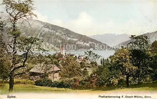 AK / Ansichtskarte  Spiez_Thunersee_BE Panorama Spiez_Thunersee_BE