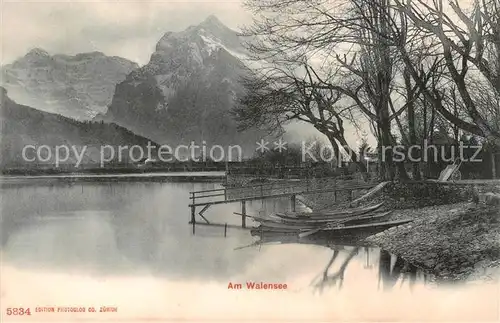 AK / Ansichtskarte  Walensee_Wallensee_SG Seepanorama 