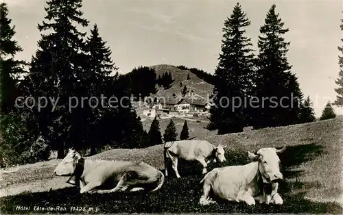 AK / Ansichtskarte Tete de Ran_1422m_NE Hotel Tete de Ran 