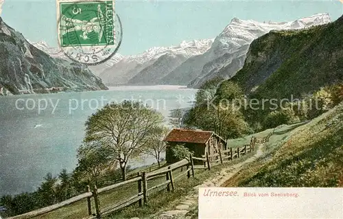 AK / Ansichtskarte Urnersee Blick vom Seelisberg Urnersee