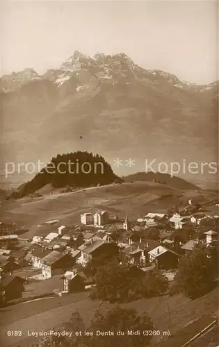 AK / Ansichtskarte Feydey_sur_Leysin et les Dents du Midi Feydey_sur_Leysin