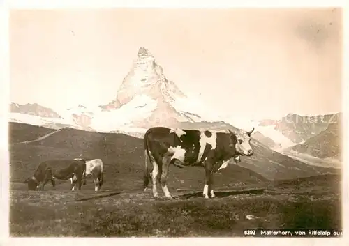 AK / Ansichtskarte Riffelalp_VS Blick zum Matterhorn 