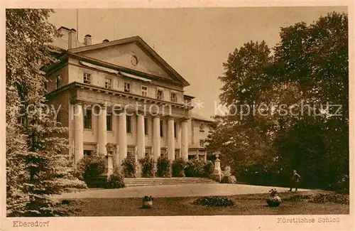 AK / Ansichtskarte  Ebersdorf_Reuss_Thueringen Fuerstliches Schloss 