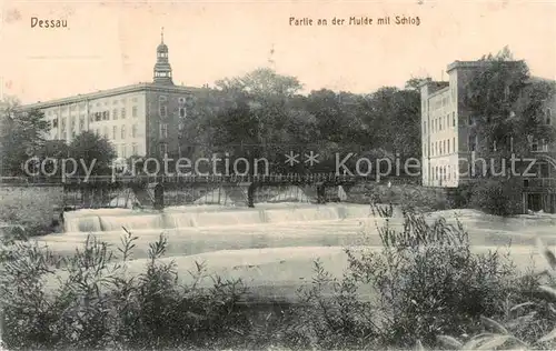 AK / Ansichtskarte  Dessau-Rosslau Partie an der Mulde mit Schloss Dessau-Rosslau