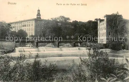 AK / Ansichtskarte  Dessau-Rosslau Partie an der Mulde mit Schloss Dessau-Rosslau