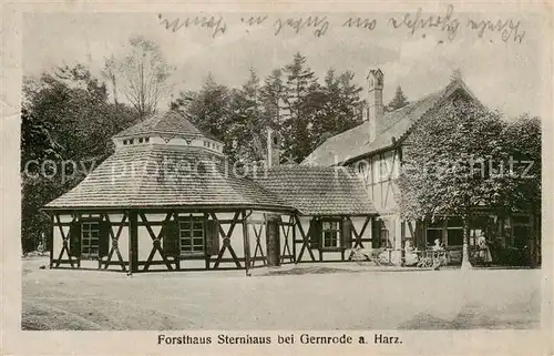 AK / Ansichtskarte 73816763 Gernrode_Harz Forsthaus Sternhaus Gernrode Harz