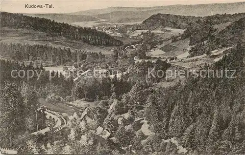 AK / Ansichtskarte  Kudowa-Zdroj_Bad_Kudowa_Niederschlesien Panorama 