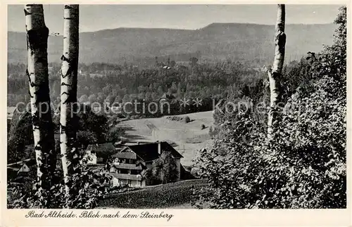 AK / Ansichtskarte 73816860 Bad_Altheide_Polanica-Zdrój Blick zum Steinberg 