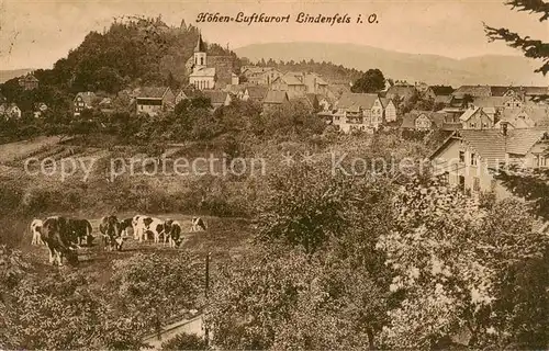 AK / Ansichtskarte 73816969 Lindenfels_Odenwald Panorama Lindenfels Odenwald