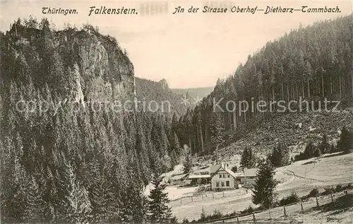 AK / Ansichtskarte  Falkenstein_Thueringen An der Strasse Oberhof Dietharz Tammbach Landschaftspanorama Felsen Falkenstein_Thueringen