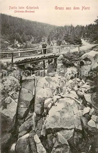 AK / Ansichtskarte  Schierke_Harz Partie beim Eckerloch Felsen Bruecke Schierke Harz