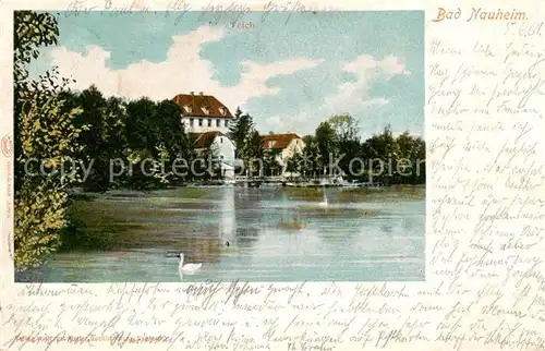 AK / Ansichtskarte 73817346 Bad_Nauheim Teich Bad_Nauheim