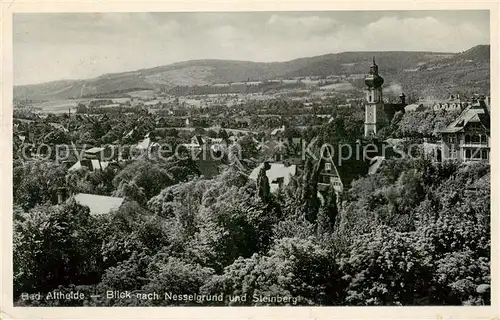 AK / Ansichtskarte 73817365 Bad_Altheide_Polanica-Zdrój Blick nach Nesselgrund und Steinberg 