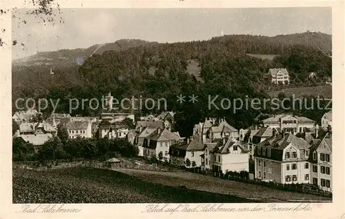 AK / Ansichtskarte  Bad_Salzbrunn_Szczawno-Zdroj_PL Panorama von der Prinzenhoehe 