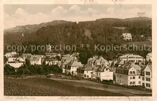 AK / Ansichtskarte  Bad_Salzbrunn_Szczawno-Zdroj_PL Panorama von der Prinzenhoehe 