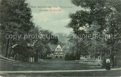 AK / Ansichtskarte  Bad_Salzbrunn_Szczawno-Zdroj_PL Wiesenhaus mit Hochwald 