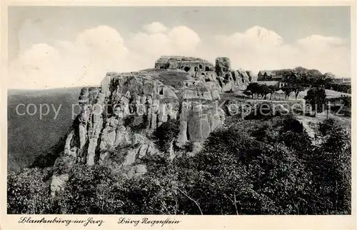 AK / Ansichtskarte  Blankenburg_Harz Burg Regenstein Blankenburg_Harz