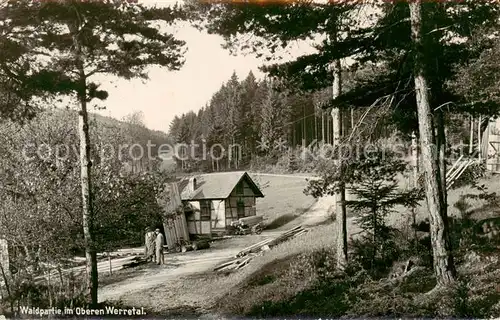 AK / Ansichtskarte  Bad_Blankenburg Waldpartie im Oberen Werretal Bad_Blankenburg