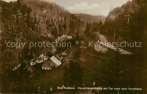 AK / Ansichtskarte  Bad_Kudowa_Kudowa-Zdroj_Niederschlesien_PL Heuscheuerstrasse mit Tal nach dem Forsthaus 