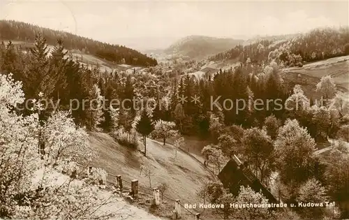 AK / Ansichtskarte 73817536 Bad_Kudowa_Kudowa-Zdroj_Niederschlesien_PL Heuscheuerstrasse und Kudowa Tal 