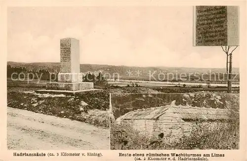 AK / Ansichtskarte 73817568 Eining_Donau Roemerkastell Abusina Hadrianssaeule Reste eines roem Wachtturmes am Limes 