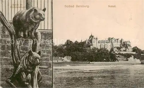 AK / Ansichtskarte  Bernburg_Saale Baeren im Schlosszwinger Schloss Bernburg_Saale