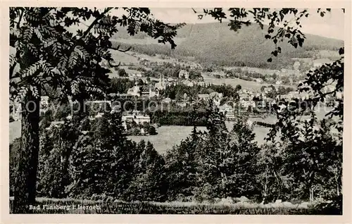 AK / Ansichtskarte  Bad_Flinsberg_Swieradow_Zdroj_PL Panorama 