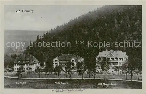 AK / Ansichtskarte  Bad_Reinerz_Duszniki-Zdrój_PL Villa Idylle Villa Cornelia Villa Koenigin Luise 