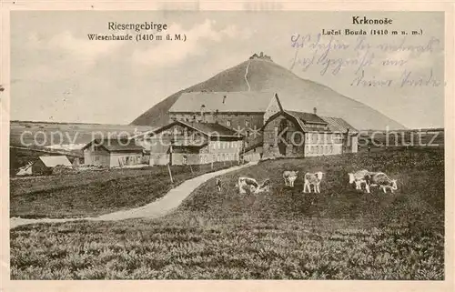 AK / Ansichtskarte  Riesengebirge_Schlesischer_Teil Wiesenbaude 