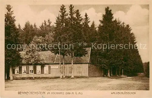 AK / Ansichtskarte  Benneckenstein_Harz Waldschloesschen Benneckenstein_Harz