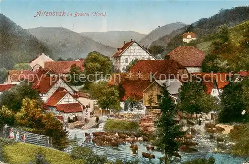 AK / Ansichtskarte  Altenbrak_Harz Panorama Altenbrak Harz