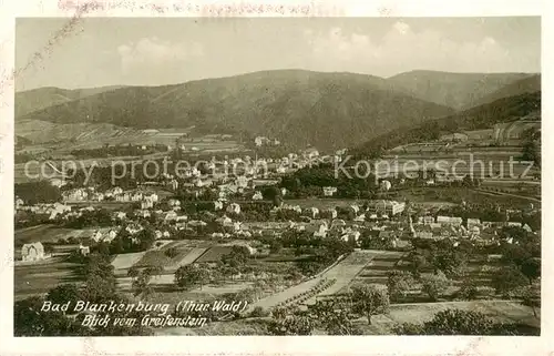 AK / Ansichtskarte  Bad_Blankenburg Blick vom Greifenstein Bad_Blankenburg