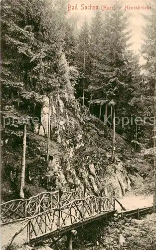 AK / Ansichtskarte  Bad_Sachsa_Harz Hexenbruecke Bad_Sachsa_Harz