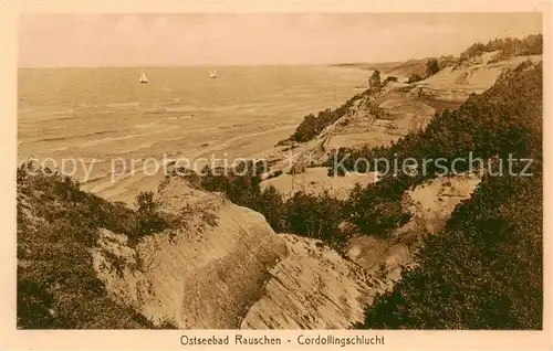 AK / Ansichtskarte  Rauschen_Ostseebad_Kaliningrad_Swetlogorsk_RU Cordollingschlucht 