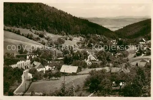 AK / Ansichtskarte  Agnetendorf_ Jagniatkow_Jelenia_Gora_Riesengebirge_PL Panorama 